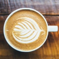 Instant coffee powder