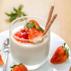 Yoghurt Powder